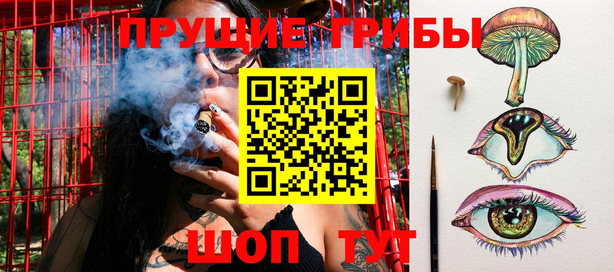 Псилоцибиновые грибы ЛСД  где купить   Галлюциногенные грибы прущие грибы  Салехард  Вход с VPN 
